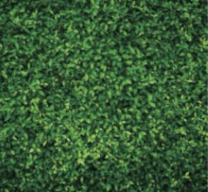 evolution photobooth, 360 photo booth, photo booth, photo booth rental , 360 photo booth California