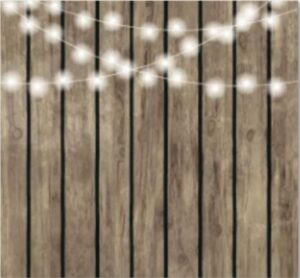 evolution photobooth, 360 photo booth, photo booth, photo booth rental , 360 photo booth California