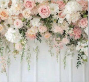 evolution photobooth, 360 photo booth, photo booth, photo booth rental , 360 photo booth California