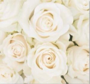 evolution photobooth, 360 photo booth, photo booth, photo booth rental , 360 photo booth California